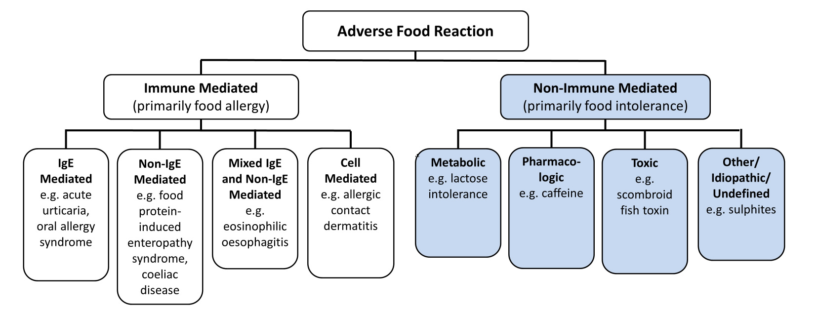 Allergy Chart For Child Care