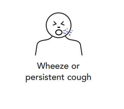 Wheeze or persistent cough