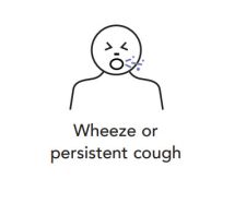 Wheeze or persistent cough