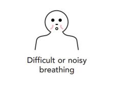 Difficult or noisy  breathing